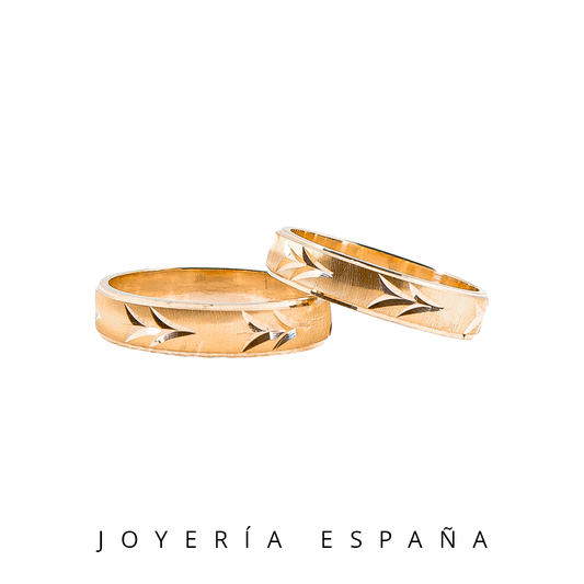 Alianzas "Arrow" AM_61