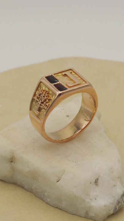 Chevalier "Braum" CC_175