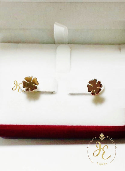Aretes ART_37