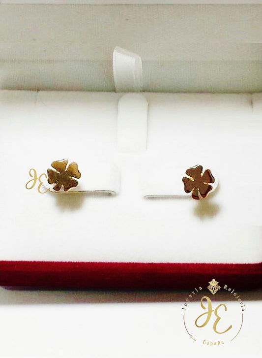 Aretes ART_37