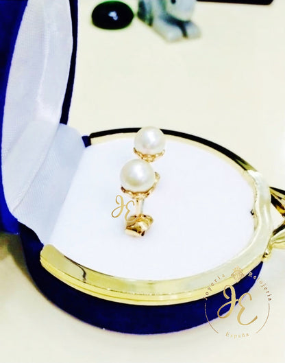 Aretes ART_02