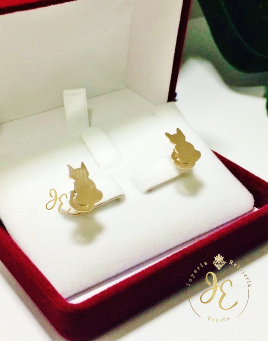 Aretes ART_137