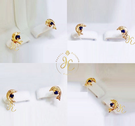 Aretes ART_41